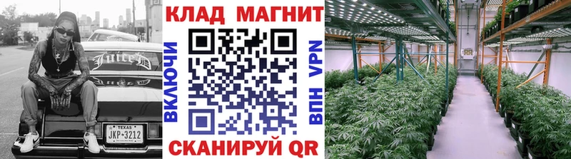 Купить закладку МАРИХУАНА  Амфетамин  ГАШИШ  Alpha PVP  Меф мяу мяу  Cocaine  Кизел