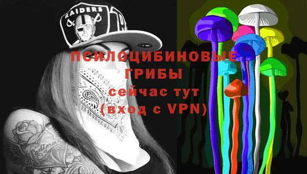 первитин Вяземский