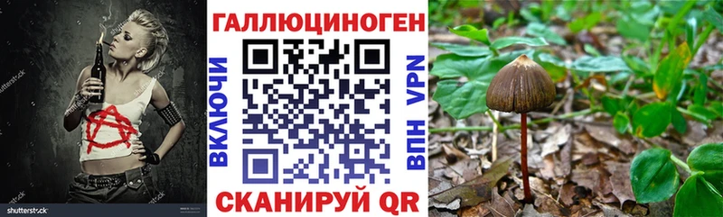 Галлюциногенные грибы MAGIC MUSHROOMS  Купить где  Кизел 